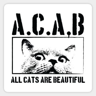 ALL CATS ARE BEAUTIFUL Magnet